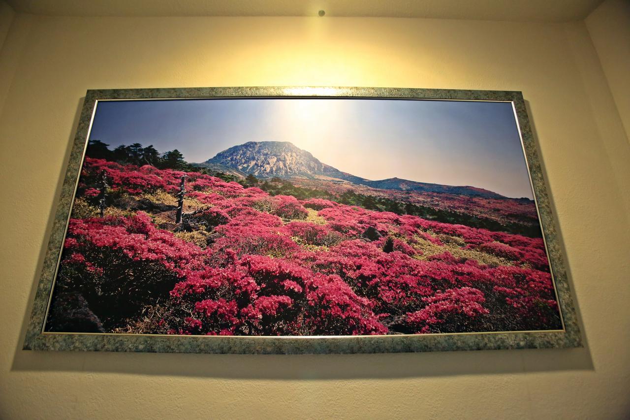 Champion Hotel Jeju Exteriör bild